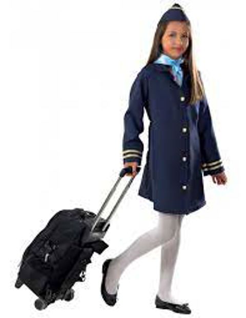 Uniform Air Hostess  / Halloween   